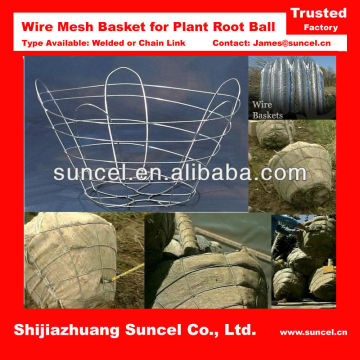Welded Root Ball Mesh