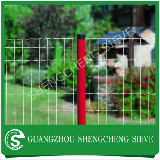 PVC coated holland wire mesh euro fence China profession factory