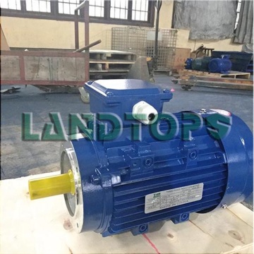 LANDTOP 50KW Three Phase Electric Motor Price