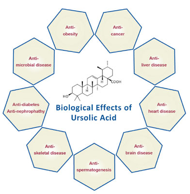 ursolic acid