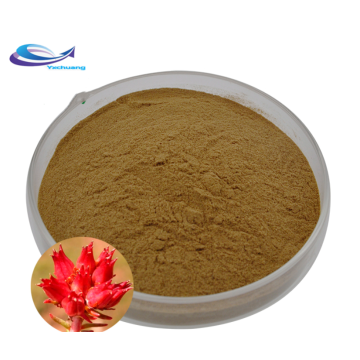 Best sale pure horsetail extract powder horsetail extract