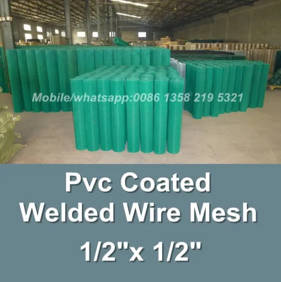 china factory 1inch epoxy coated welded wire mesh