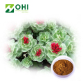 Rhodiola Rosea Extrakt 5% Salidroside