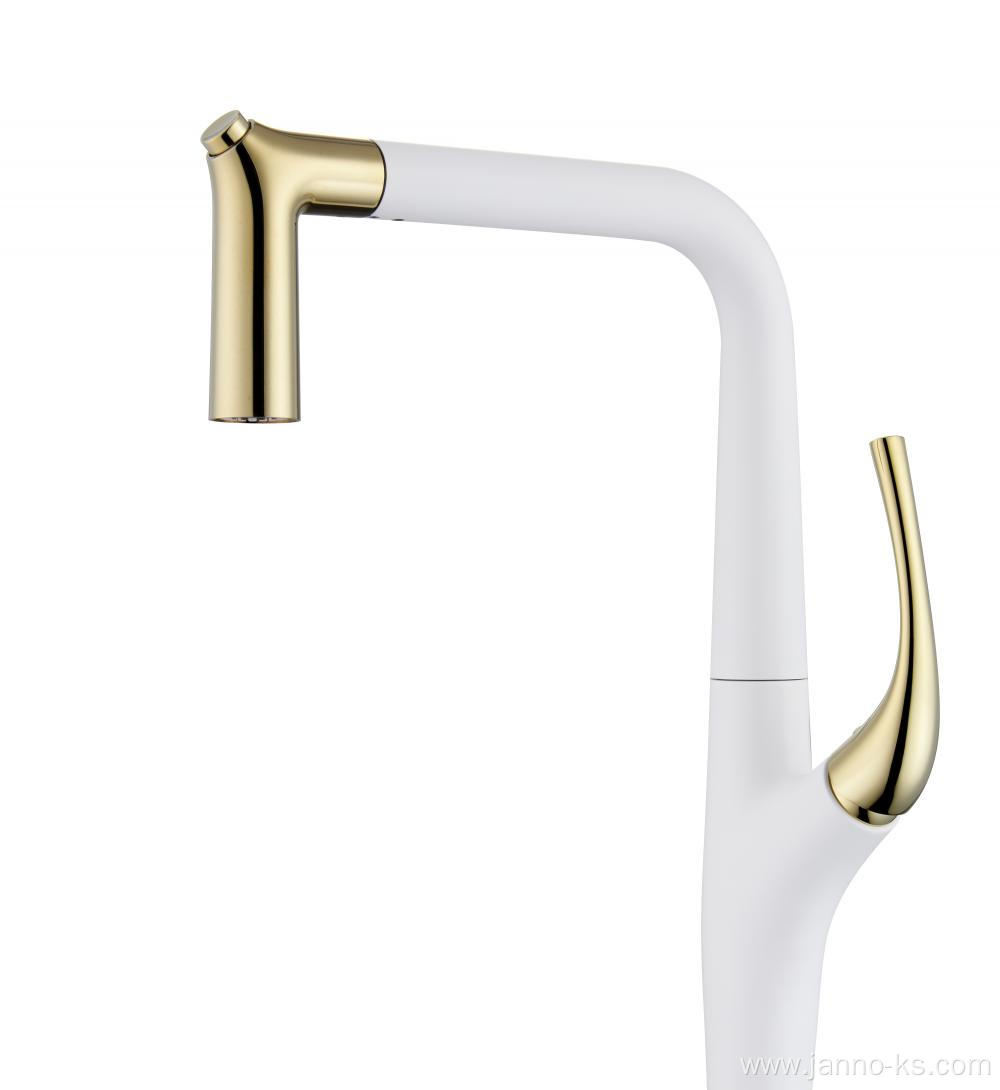 Brass Kitchen Pull Out Water Tap