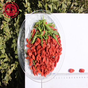 Vitamin Nutrisi Rendah Lemak Goji Berries racun perosak yang rendah