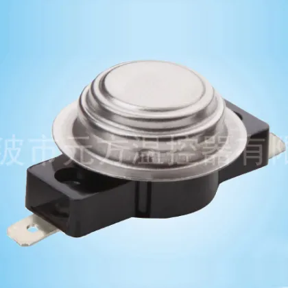 Appliances Thermostat 