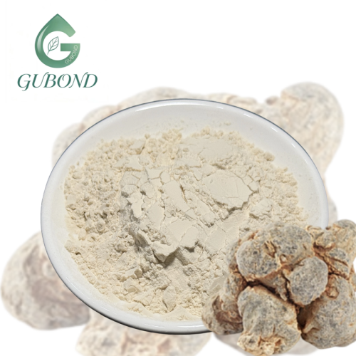 Экстракт Panax Notoginseng для пищевых добавок