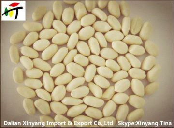 white blanched peanut kernel/blanched peanut kernels in long shape/runner blanched peanuts