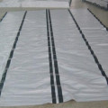 standard White Poly Tarps with 6 Bands