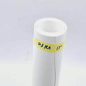 Biodegradable white PLA rigid sheet