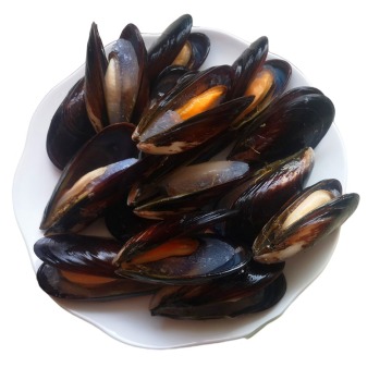 High quality tasty and delicious frozen boiled mussel