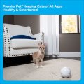 Premier Pet Fox Den Automatic Cat Toy Interactive