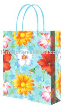 shopping bag