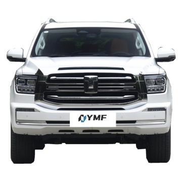China Cheap Used SUVs: Tank 300 400 500 Hybrid Cars in Stock 2023-2024