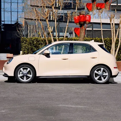 New energy small electric vehicle ora cat