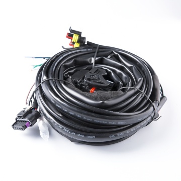 Factory Direct AEB Wires Harness for LPG/CNG 4 Cylinder Engine Conversion Kit