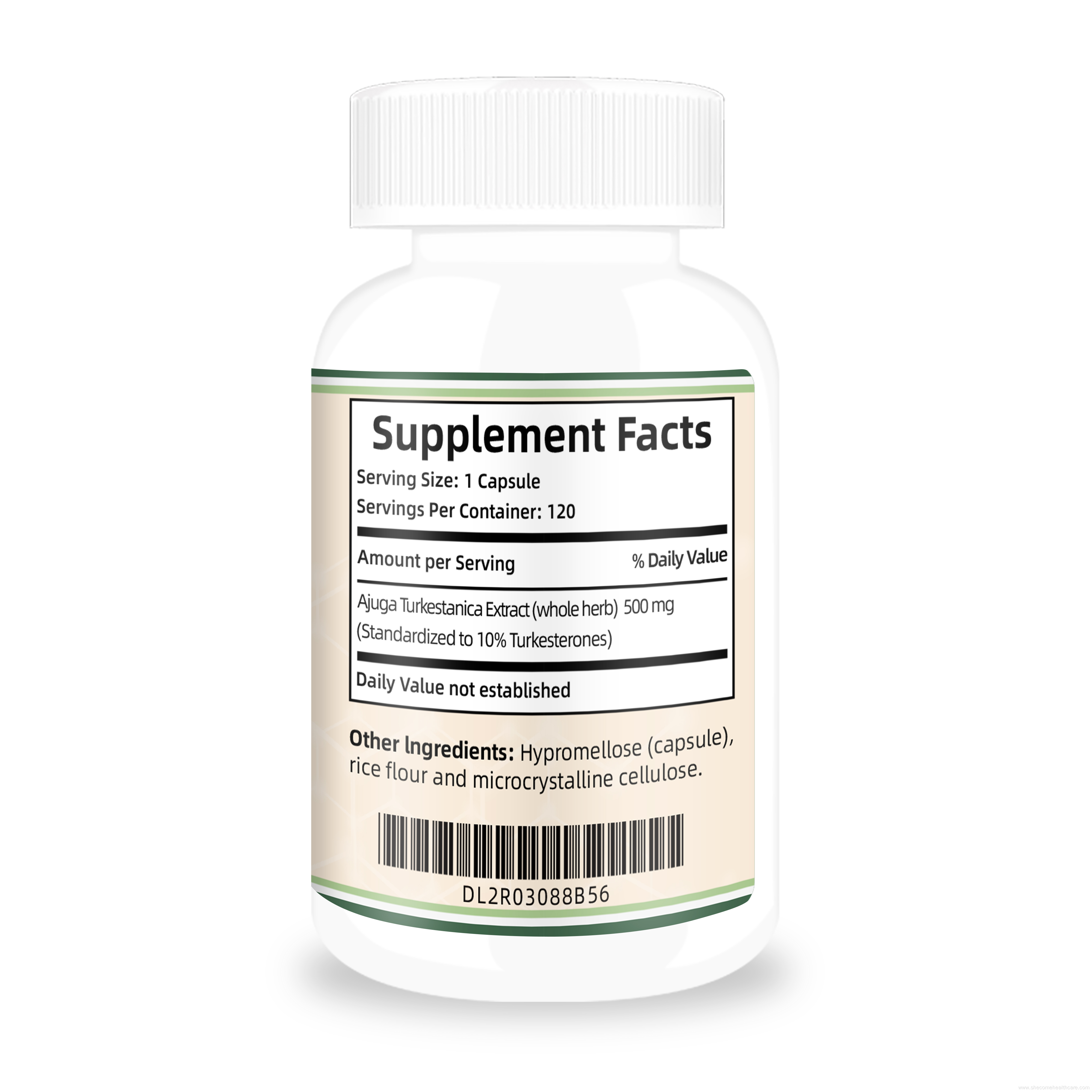 Turkesterone support Exercise Recovery Turkesterone Capsules