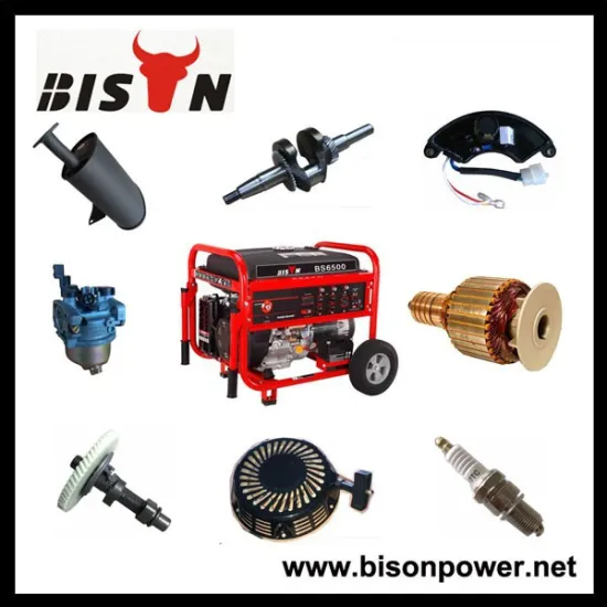BISON(CHINA) Gasooline Engine Copper Alternator 6.5hp Generator Spare Parts