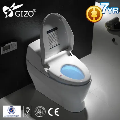 Sanitary Ware ceramic WC Smart Toilet