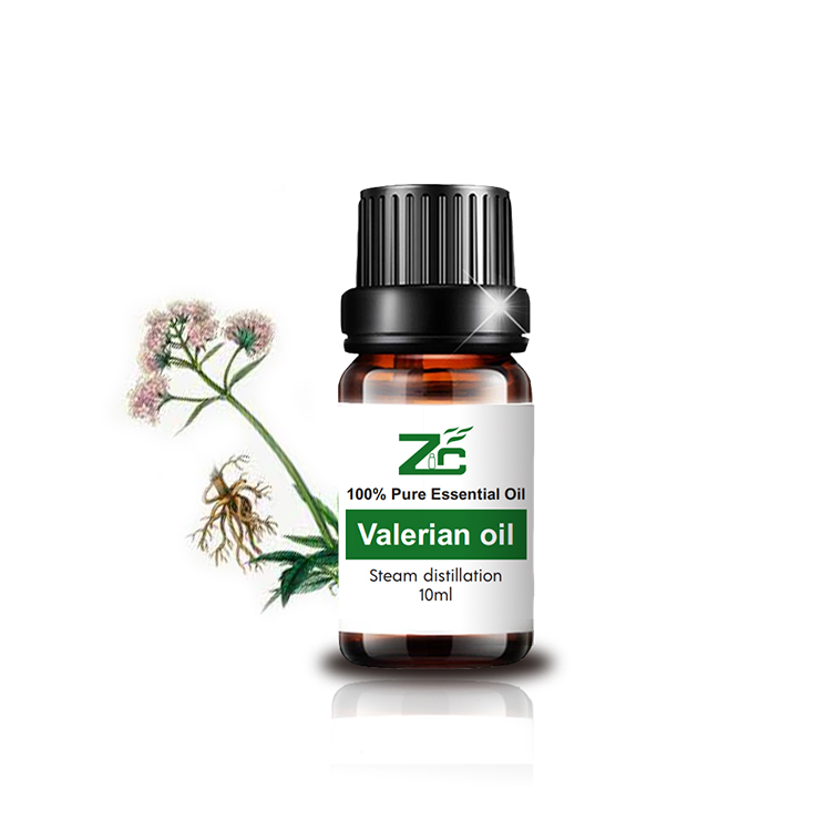 Factory Best Valerian Essential Oil for Aromatherapy