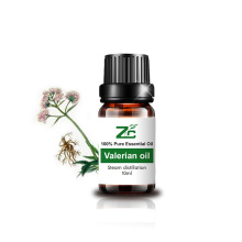 Fábrica mejor aceite esencial de valeriano para aromaterapia