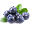 European Whortleberry Bilberry Extract 1% Anthocyanidins