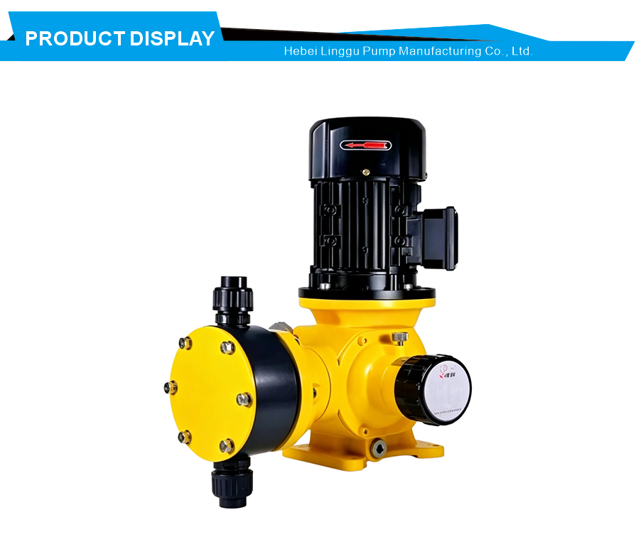 Precision chemical dosing pump