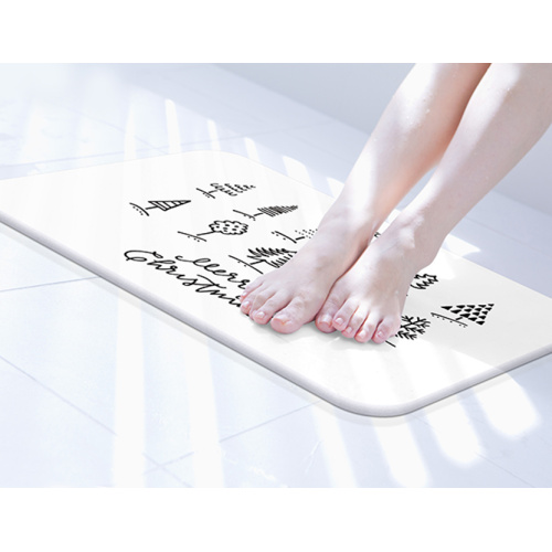 Dry Water Absorption Customized Logo Diatomaceous Earth