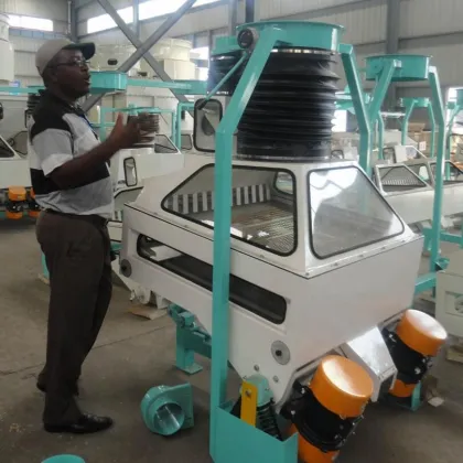 TQSF125A auto rice destoner/ grain destoner machine