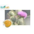 UV20%-95% Milk Thistle Extract Powder Silymarin/Silybin