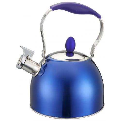 Painting Royal Blue Stainless Steel Whistling Kettle