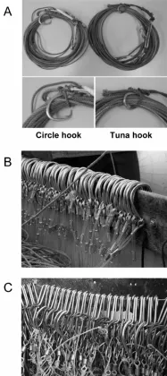 Stainless Steel Fishing Snaps and Shark Clips