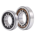 Hot selling Cylindrical Roller Bearing