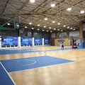 PVC sports flooring for Gym/Gym flooring/Multi purpose floor