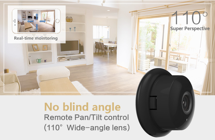 110 Degree View Angle IP Camera