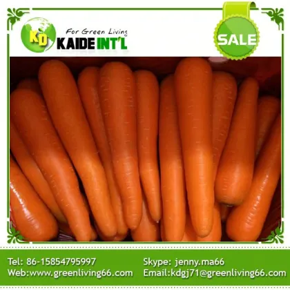 2016  Health Benefits of Carrots organic