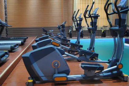 Stepper/Impulse Fitness Equipment/ Commercial Gym Machines