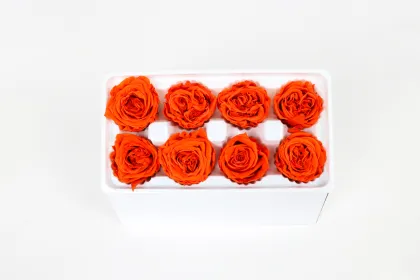 Best Quality Real Natural Forever Litchi Flower Head Preserved Garden Roses for Decoration