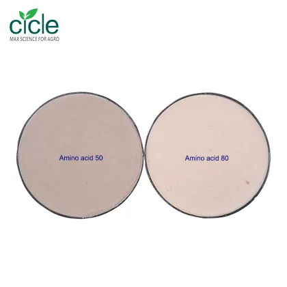 Amino ECO Amino Acid Powder