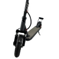 Dual rear light 10inch 350W motor adult folding kick electric scooter