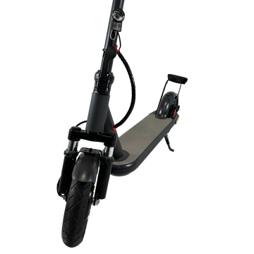 Dual rear light 10inch 350W motor adult folding kick electric scooter