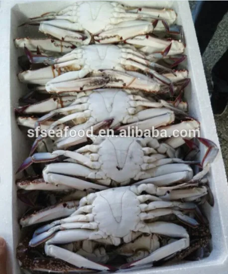 frozen seafood importers of crab
