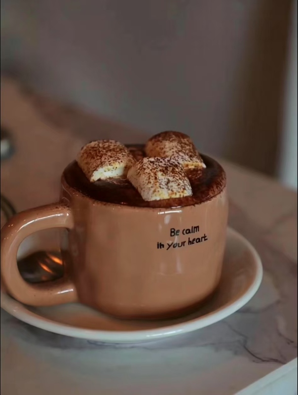 Inspirational Quote Ceramic Mugs Set