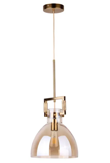 Modern lamp  shape pendant lighting  indoor