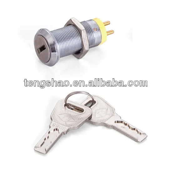 SH 10 disc switch lock for gaming machine