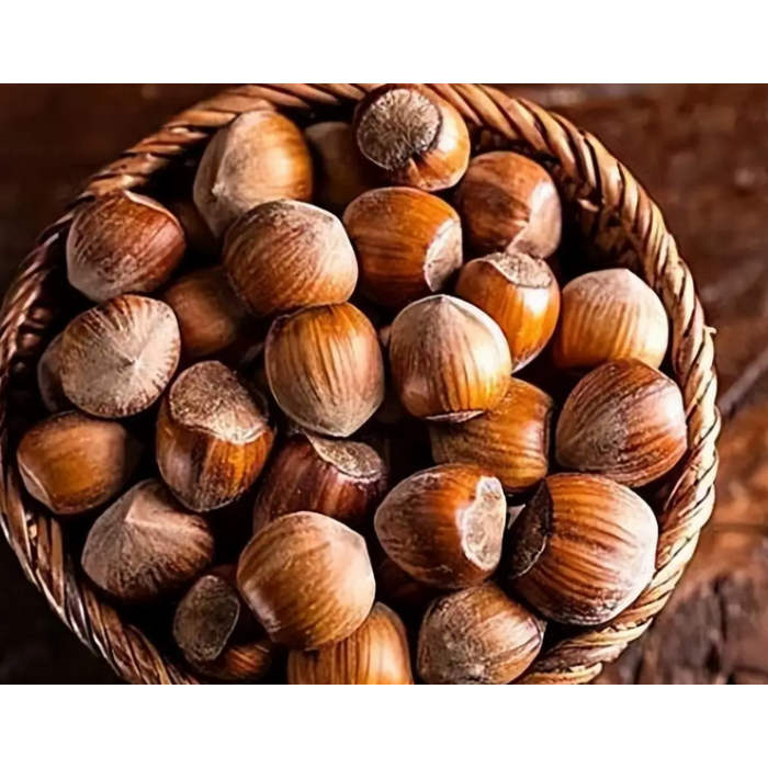 Deliciosas avelãs leopardo enlatadas