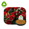 Extrait de fleur de rose naturelle Poudre d&#39;extrait de rose double