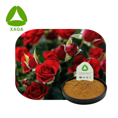 Natural Rose Flower Extract Double Rose Extract Powder