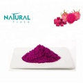 Poudre de fruit du dragon pitaya lyophilisée 100 % biologique