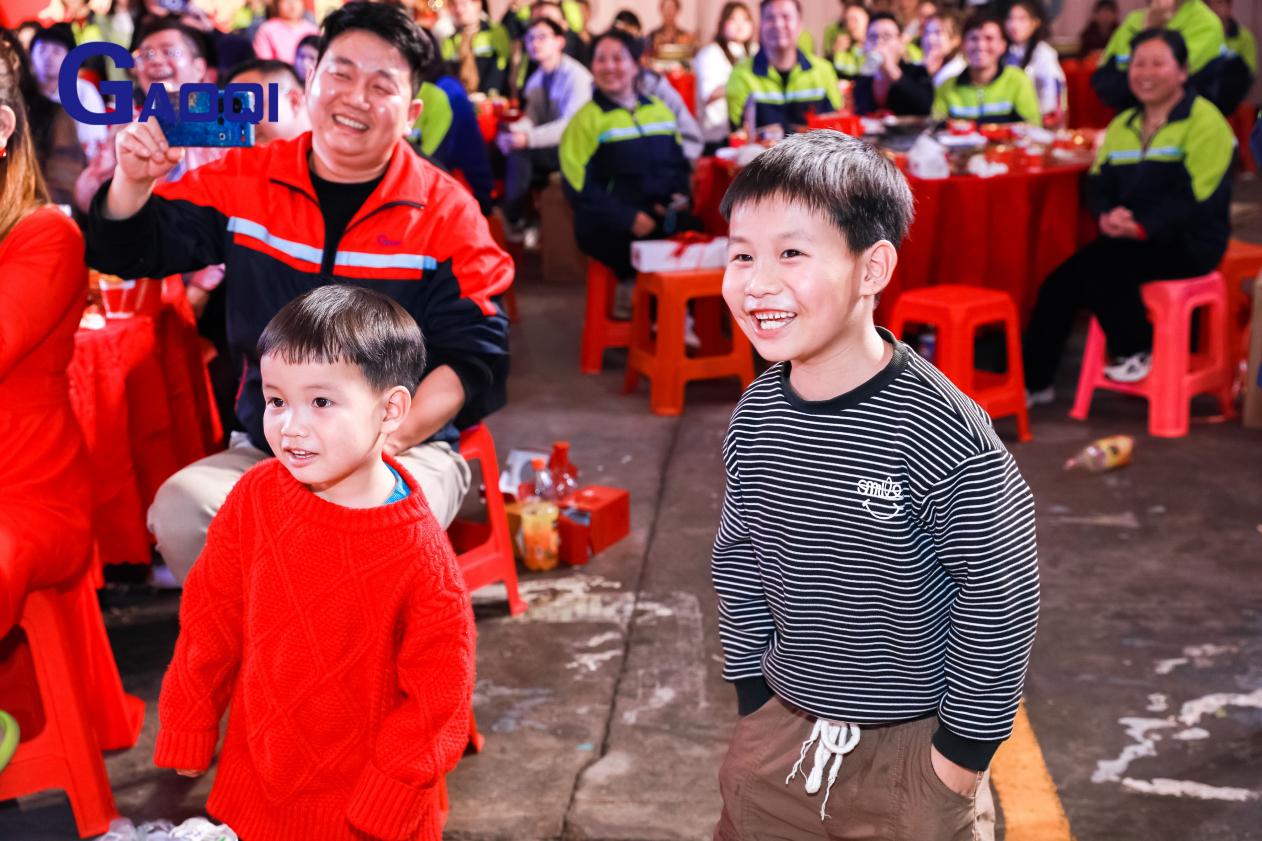 Dongguan Gaoqi Electronics Co.Ltd